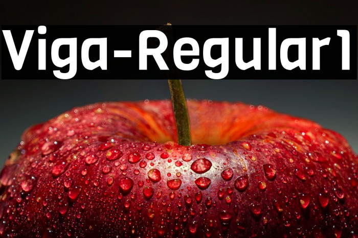 Viga-Regular1 Example 1