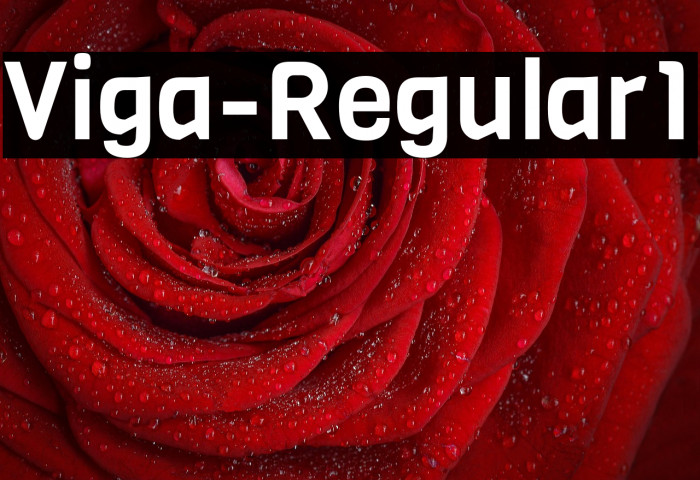 Viga-Regular1 Example 2