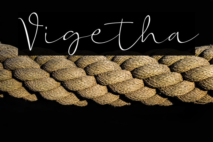 Vigetha Example 1