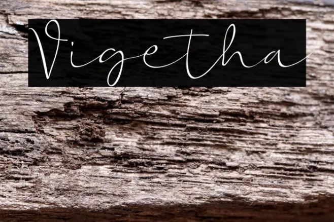 Vigetha Example 3