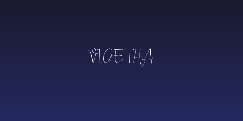 Vigetha Social Header