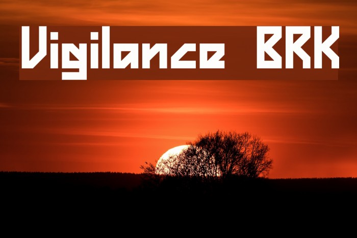 Vigilance BRK Example 2
