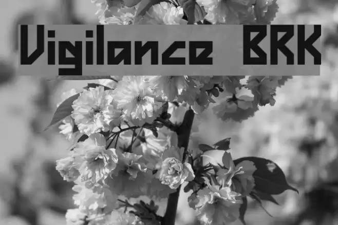 Vigilance BRK Font examples
