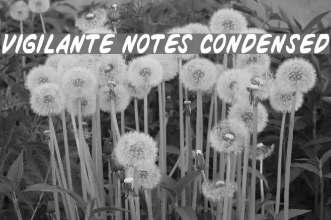 Vigilante Notes Condensed Шрифта examples