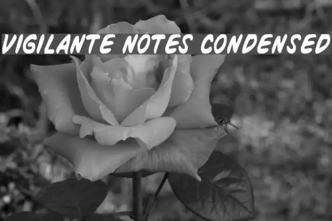 Vigilante Notes Condensed Шрифта examples