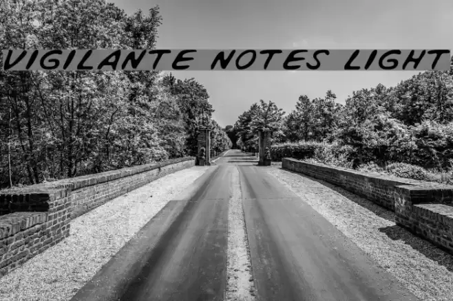 Vigilante Notes Light Font examples