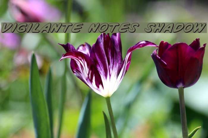 Vigilante Notes Shadow Font examples