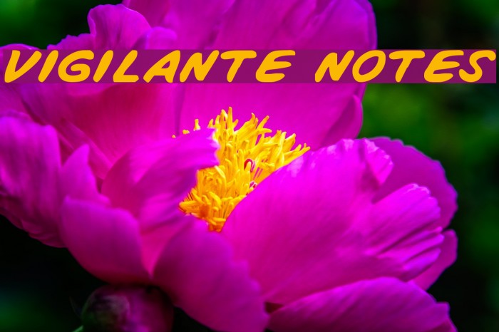 Vigilante Notes Font examples