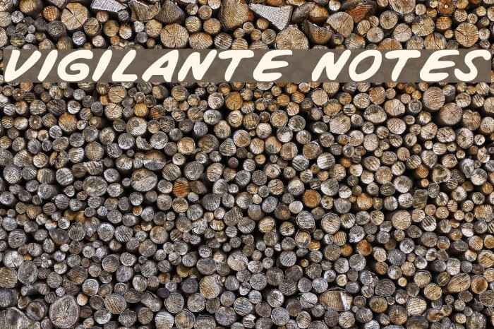 Vigilante Notes Font examples