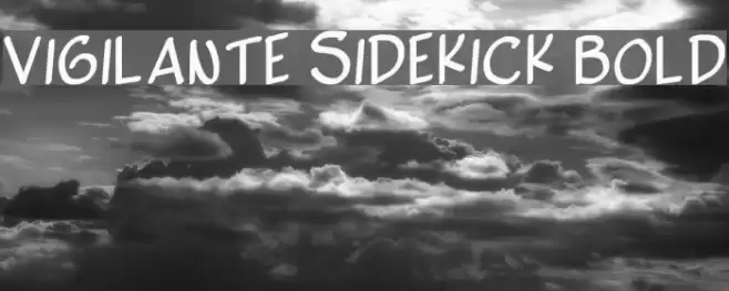 Vigilante Sidekick Bold  examples