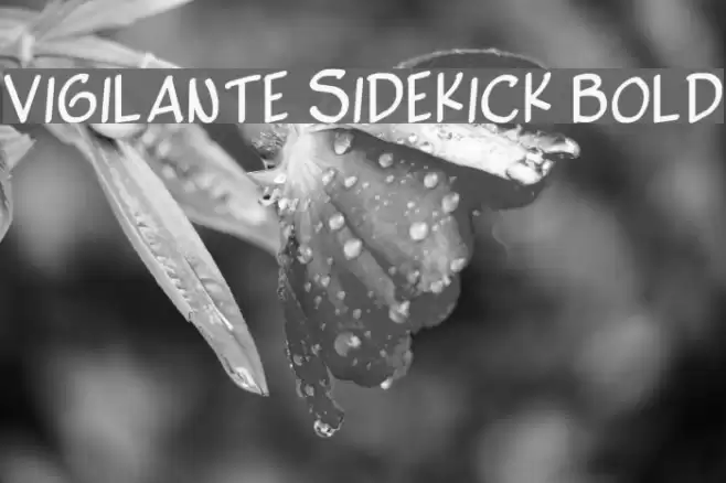 Vigilante Sidekick Bold  examples