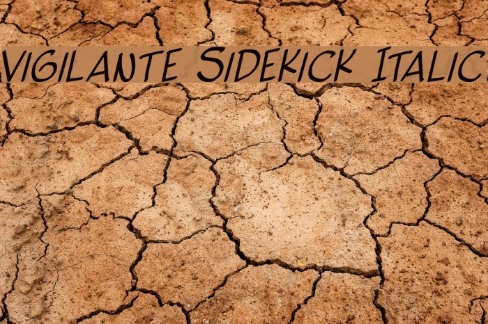Vigilante Sidekick Italic Font examples