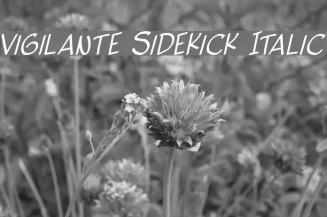 Vigilante Sidekick Italic Шрифта examples