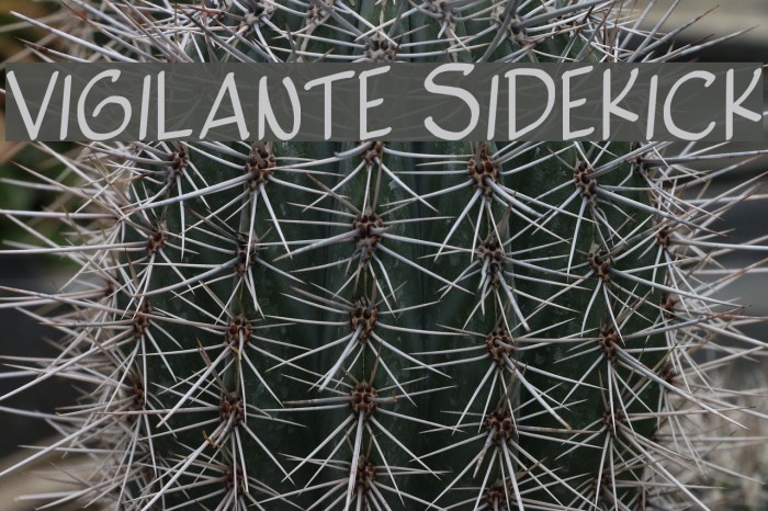 Vigilante Sidekick Font examples