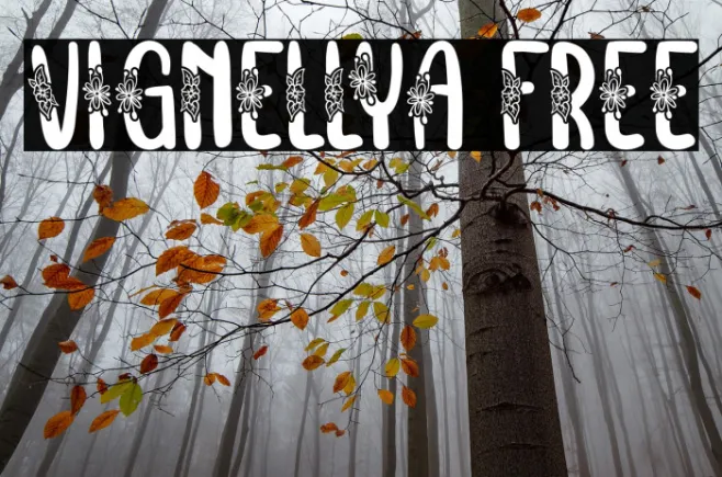 Vignellya FREE Example 1