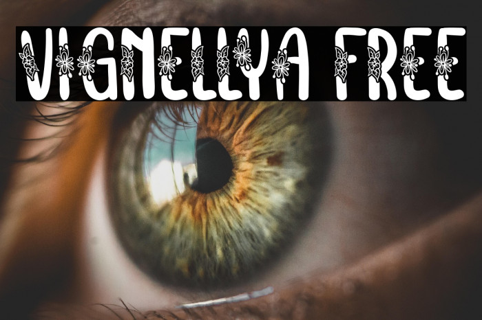 Vignellya FREE Example 2