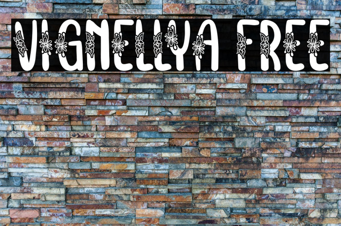 Vignellya FREE Example 3