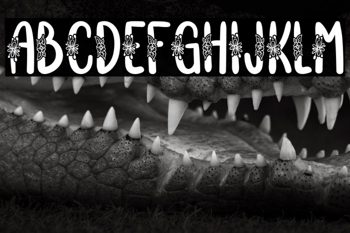 VignellyaFREE Example 1