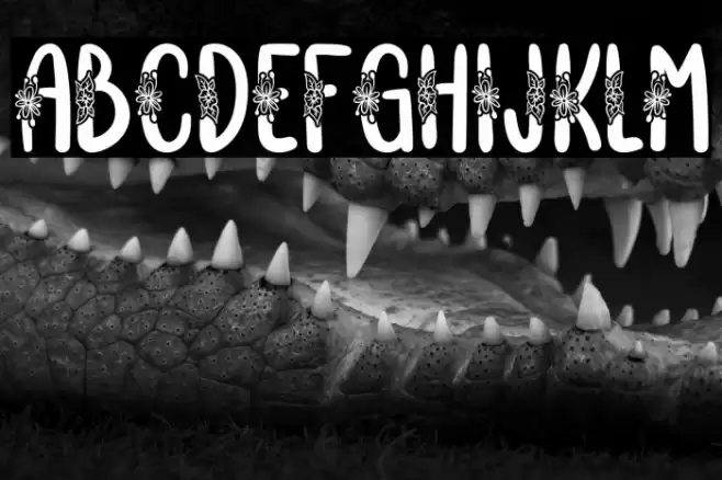 VignellyaFREE Font examples