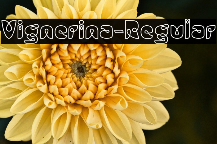 Vignerina-Regular Example 2