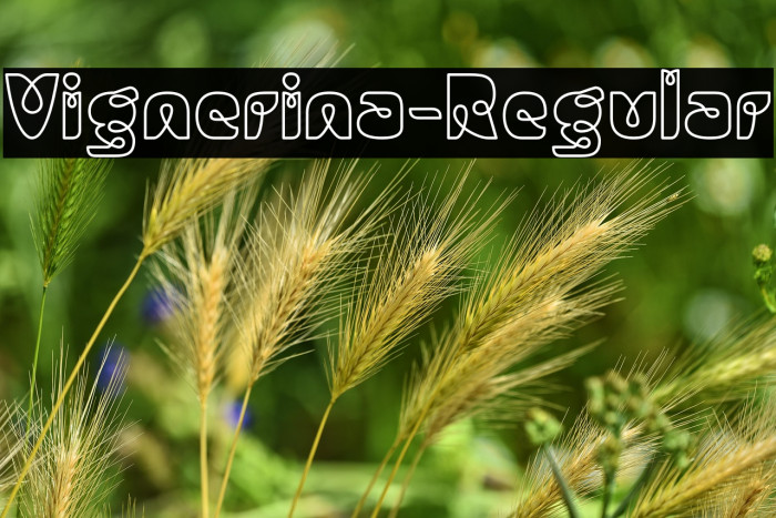 Vignerina-Regular Example 3