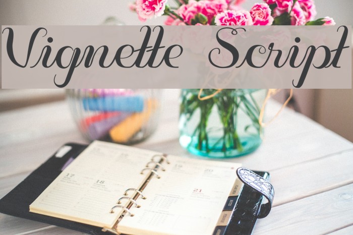 Vignette Script Font examples