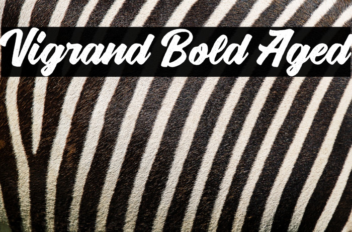 Vigrand Bold Aged Example 1