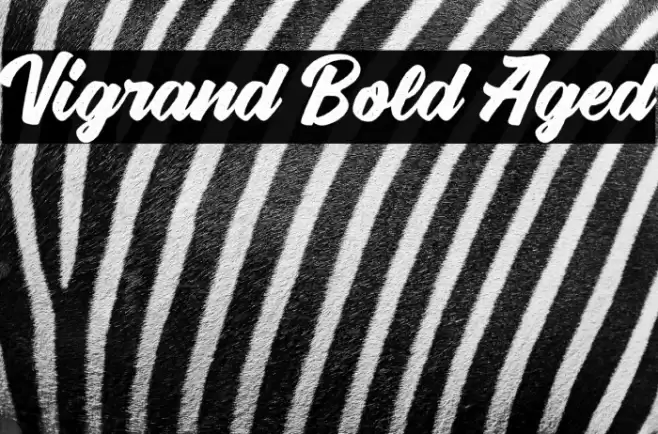 Vigrand Bold Aged Font examples
