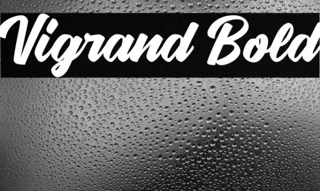 Vigrand Bold Font examples