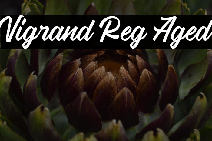 Vigrand Reg Aged Example 2