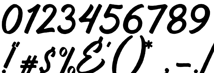 Vigrand Reg Rough Font OTHER CHARS