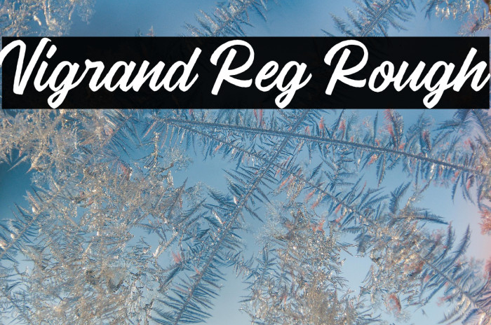 Vigrand Reg Rough Example 1
