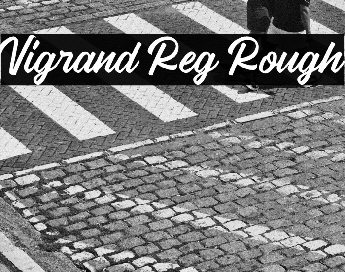 Vigrand Reg Rough Example 2