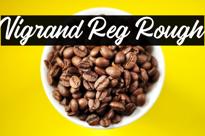Vigrand Reg Rough Example 3