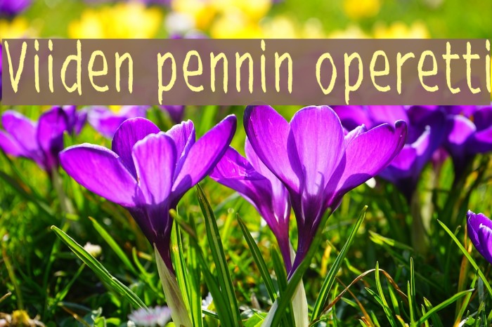 Viiden pennin operetti لخطوط تنزيل examples