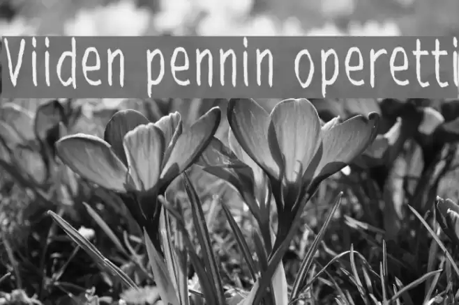 Viiden pennin operetti Font examples