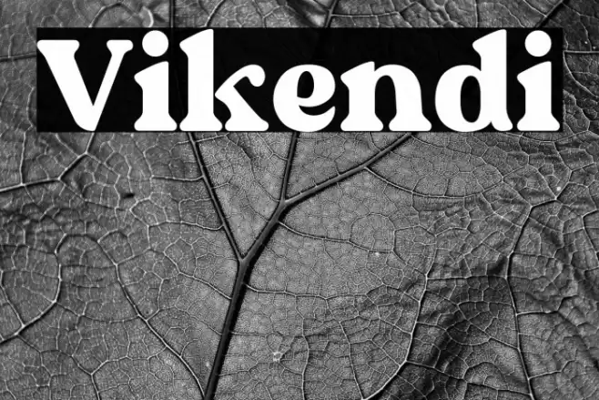 Vikendi Polices examples