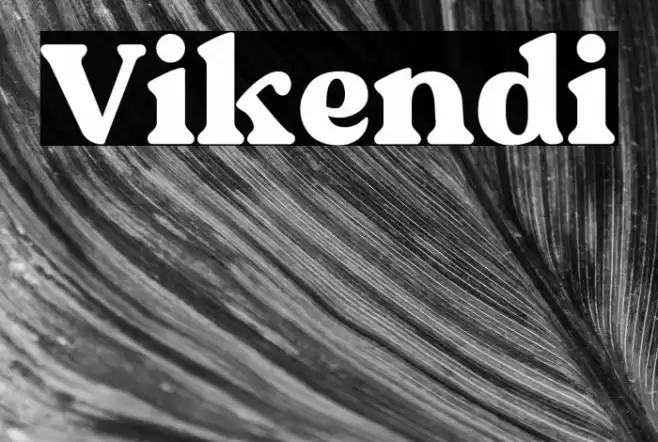 Vikendi Polices examples