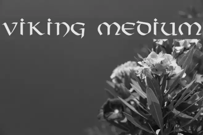 Viking Medium خط examples