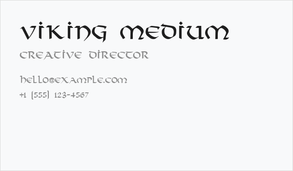 Viking Medium Business Card