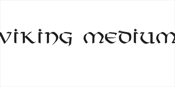 Viking Medium Logo
