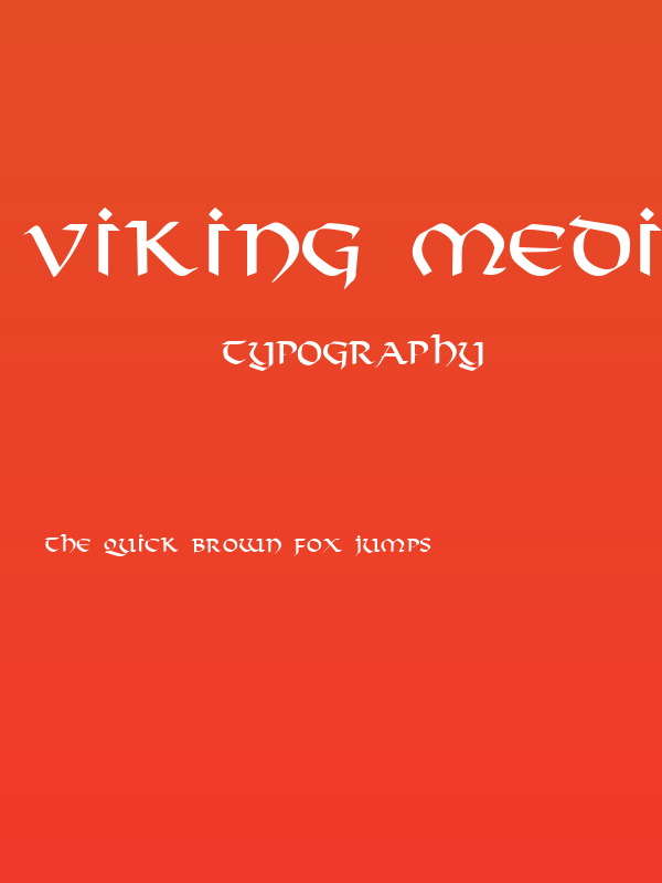 Viking Medium Poster