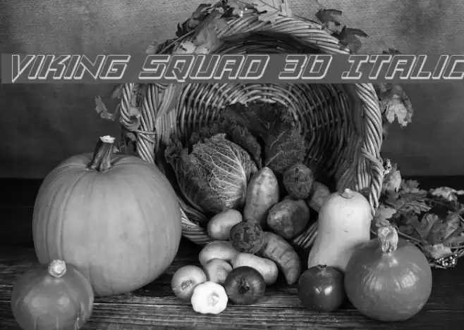 Viking Squad 3D Italic Font examples