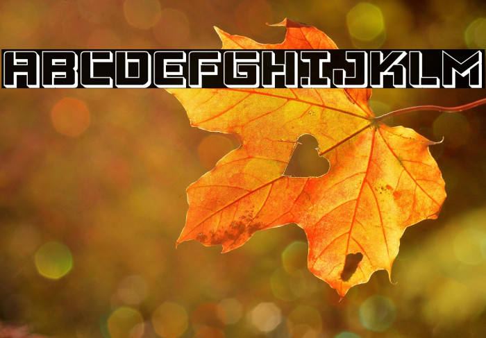 Viking Squad 3D Example 2