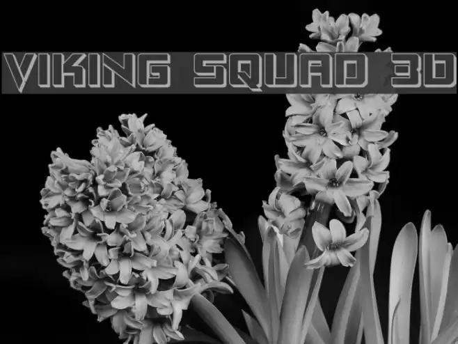 Viking Squad 3D Font examples