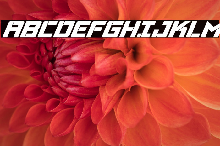 Viking Squad Bold Italic Example 2