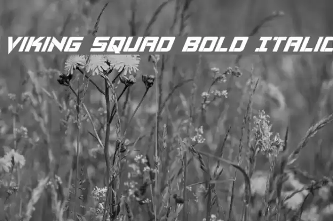 Viking Squad Bold Italic Font examples