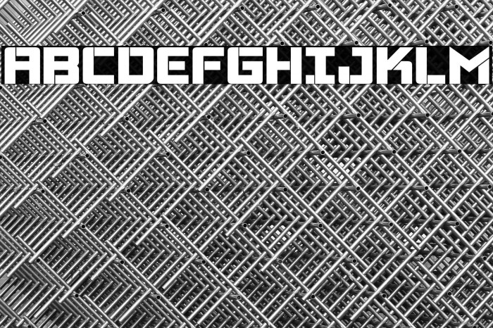 Viking Squad Bold Example 3