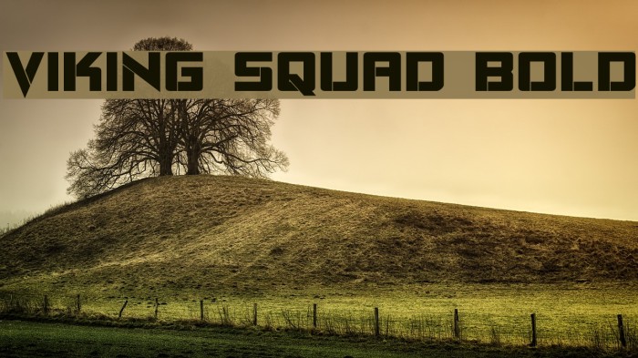 Viking Squad Bold Example 2