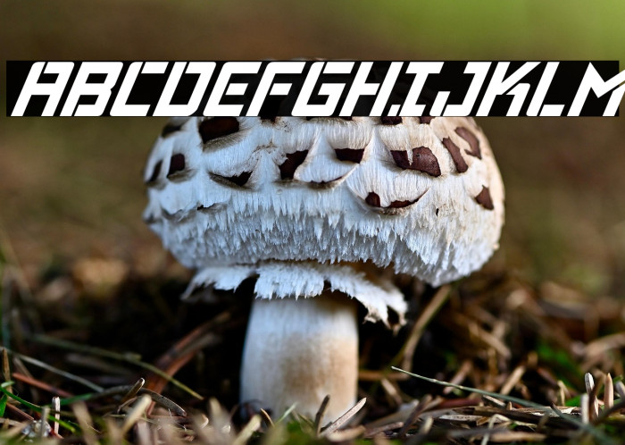 Viking Squad Condensed Italic Example 1